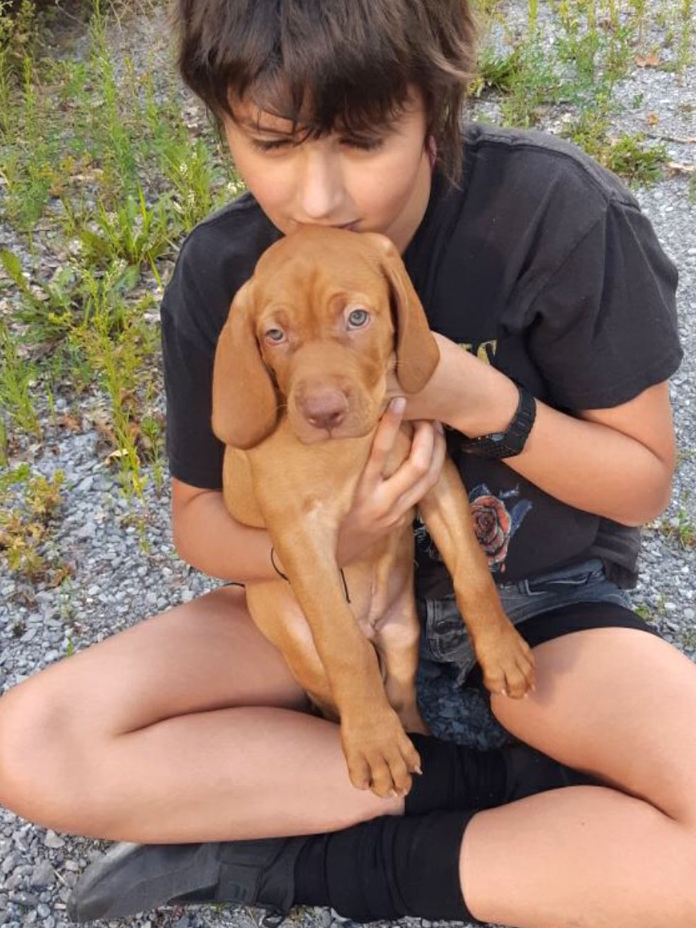 Nikita and new vizsla puppy, Hunter